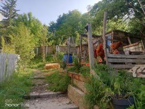 Chalets La Cabane des Trappeurs : photos des chambres