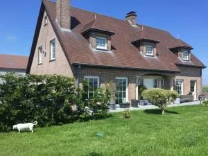 casa matteo de haan Grote straat 152 - Vlissegem