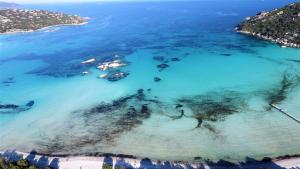 Villas Villa AZURA, vue panoramique et proche mer a Santa Giulia, piscine chauffee : photos des chambres