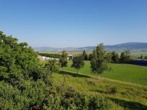 Апартаменти Гювийски