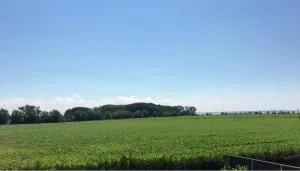 Gästehaus Lüßvitz - 乌曼茨