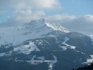 Ferienwohnungen Schneider