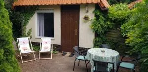 SOWA nad jeziorem Wojnówko gm Murowana Goślina - 奥博尔尼基