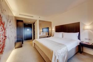 Executive 1 King Bed Room with Spa & Executive Lounge Access Included room in Ramada Plaza Bucharest