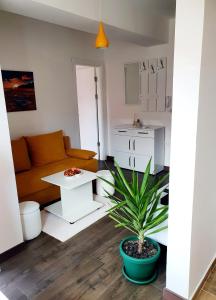 Grkov Apartment