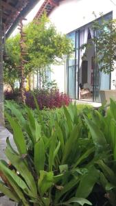 Casa Beira Mar Itamaracá