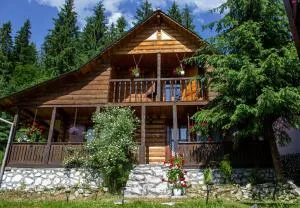 Moara Titului Arieseni - Izlaz