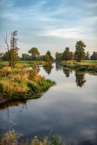 Noclegi LIW APARTMENTS Hotel Apartamenty