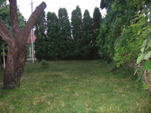 Kuća za odmor Jelena