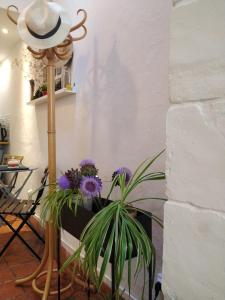 Appartements Appartement Arles Centre Historique : photos des chambres