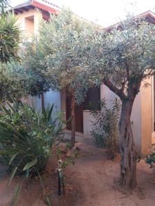 I Ginepri Guest House img4