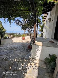 Casa Levante