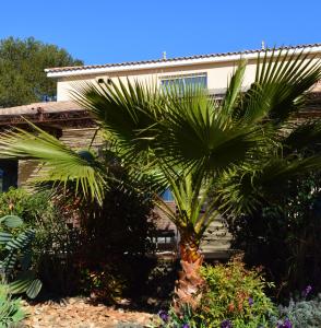 Le Relais des Capitelles photo 6
