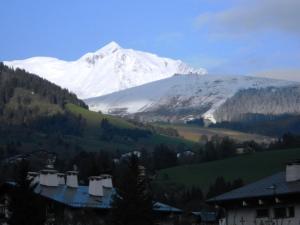 Appartements Appartement les 4 Monts : photos des chambres