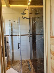 Żabie Dworki Witów Luxury Chalets