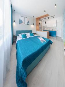 Новострой.Студия.Зеленая.Сиховская,Пр.Красной Калини.Пасичная.