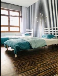 Sopockie Apartamenty Aquarius