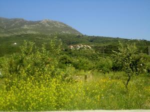 Villa Pefnos Messinia Greece