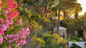 Miramar Corsica photo 6