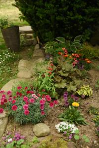 Cisówka Pokoje Gościnne