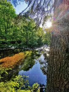 Chata Pelikán - بيلا بود براديديم