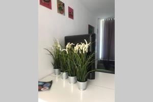 Ático con vistas y Gran terraza