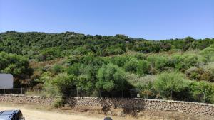 Blue Bay Apartment img61