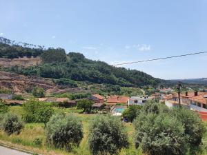 Lousãs Brown & White