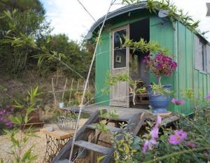 Maisons d'hotes Une roulotte a la campagne : photos des chambres