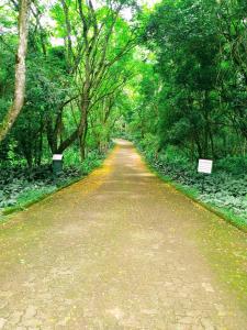 Apart Res Swiss - Jd Europa