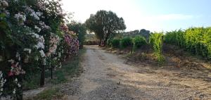 Agriturismo Muristene img15