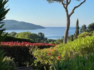 Les terrasses de sylvabelle Apt 543 - Saint-Michel