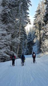 Maisons de vacances 'Petite Ferme Les Bouts' Apt, sleeps 6, Nr Morzine : photos des chambres