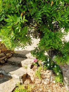 Appartamento Vasiliki