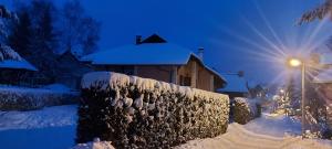 Apartman Zlatibor Mulina