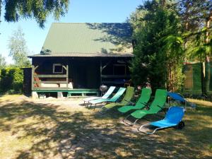 domki nad jeziorem, las, do 10 osób jezioro Wilczyńskie Budzisławskie - domek letniskowy osobno ogrodzony, ogrzewany mile widziane pieski, zwierzeta- wielkopolska, 62-550 Zygmuntowo gm Wilczyn