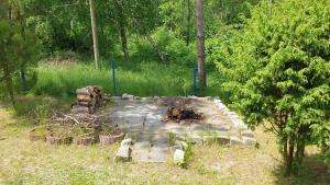 domki nad jeziorem, las, do 10 osób jezioro Wilczyńskie Budzisławskie - domek letniskowy osobno ogrodzony, ogrzewany mile widziane pieski, zwierzeta- wielkopolska, 62-550 Zygmuntowo gm Wilczyn