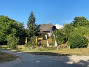 Apartment Ivanka - Poljanak