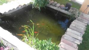 B&B / Chambres d'hotes La Cle Des Champs : photos des chambres