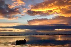 VYRON 1 ELEGANCE - نيا ميشانيونا