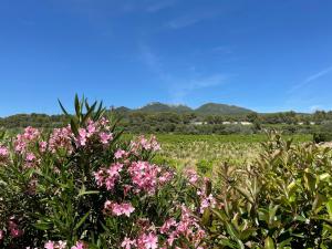 B&B / Chambres d'hotes Cote Dentelles : photos des chambres