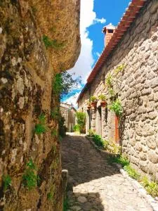 Casa dos Sequeiras - Relva