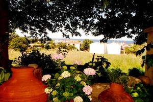 Atzanou Rooms