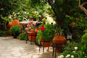 Atzanou Rooms Nisos-Samothraki Greece