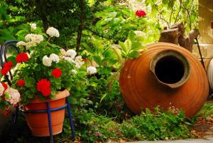 Atzanou Rooms Nisos-Samothraki Greece