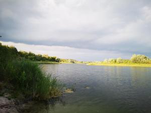 domki domek na jeziorem Wilczyńskim Budzisławskim , las, osobno ogrodzony 2-6 osób- klimatyzacja, ogrzewanie, 62-550 Zygmuntowo gm Wilczyn