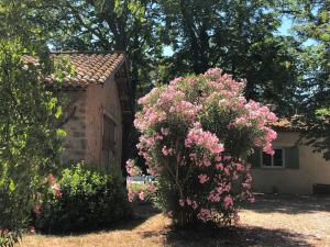 B&B / Chambres d'hotes Le Nid des Corbieres : photos des chambres