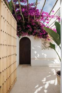La Bohemia del Rio Boutique Hotel - Adults Only