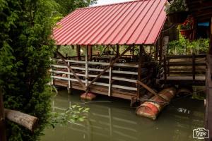 Mikin vajat i ribnjak Korenita, Loznica