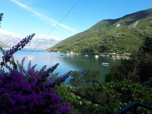 Apartment Capt Seferovic